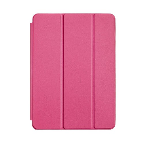 Чохол для iPad 10.2" (2019/20) Smart Case  /raspberry/