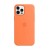  Чохол для iPhone 11 Pro Silicone Case Full /kumquat/