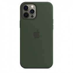  Чохол для iPhone 12/12 Pro Silicone Case OEM with MagSafe /cyprus green/