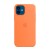  Чохол для iPhone 12 Mini Silicone Case OEM /kumquat/