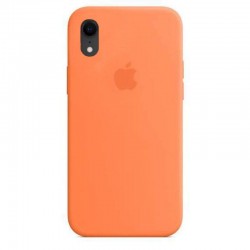  Чохол для iPhone XR Silicone Case Full /kumquat/