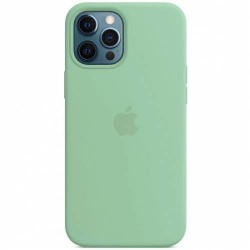 Чохол iPhone 12 (6,7) Silicone Case Full /pistachio/