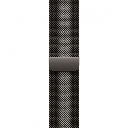 Watch Series 11 GPS+LTE 42mm Natural Titanium C Slate Milanese Loop (MF9H4+MGJ14)