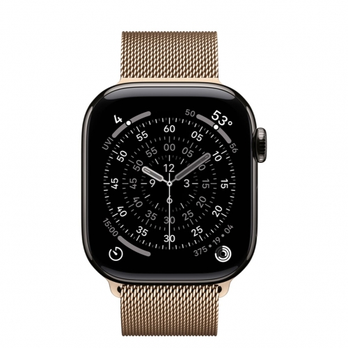Watch Series 11 GPS+LTE 42mm Slate Titanium C Gold Milanese Loop (MF9K4+MGJ04)