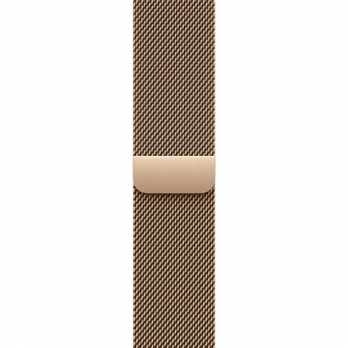Watch Series 11 GPS+LTE 46mm Slate Titanium C Gold Milanese Loop M/L (MFC14+MGJ54)