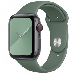 Ремінець Apple watch 38/40mm Sport Band /pine green/ S